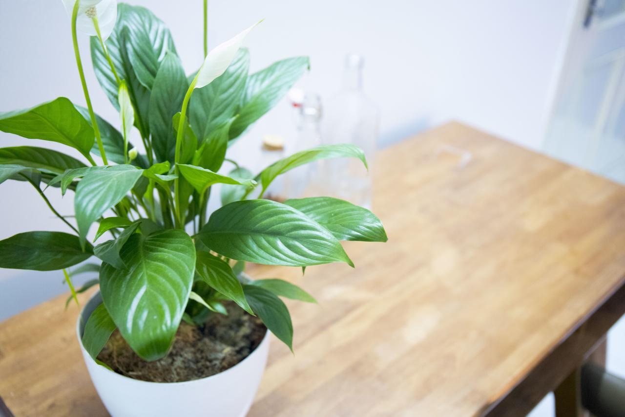Sky Harbour Hostel Đà Nẵng Ngoại thất bức ảnh